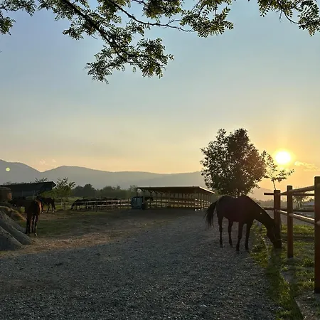 Bed & Breakfast Cascina Tavella - & Animals 4*