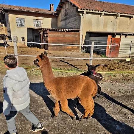 Bed & Breakfast Cascina Tavella - & Animals 4*