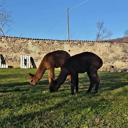Cascina Tavella - & Animals 4* Rivalta di Torino